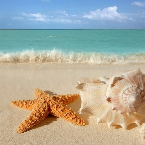 Meet your Posher, Mstng97lvr run by Sarah - Picture 10 of 10